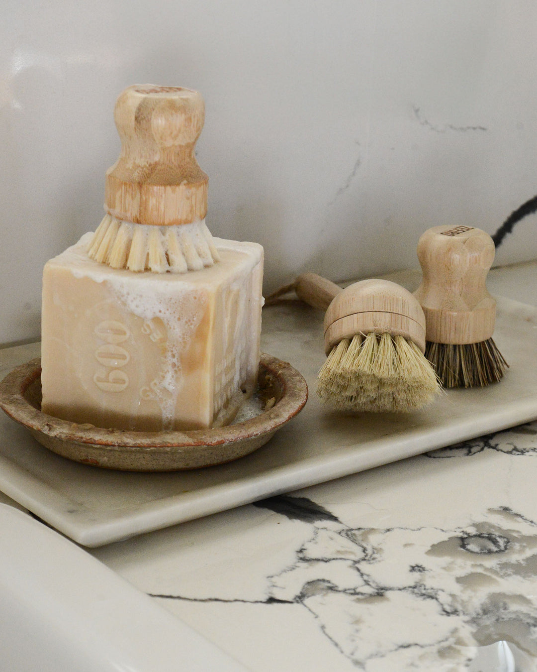 Bamboo Long Handle Dish Brush