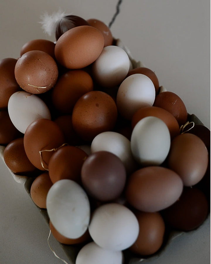 one dozen farm fresh, free range eggs