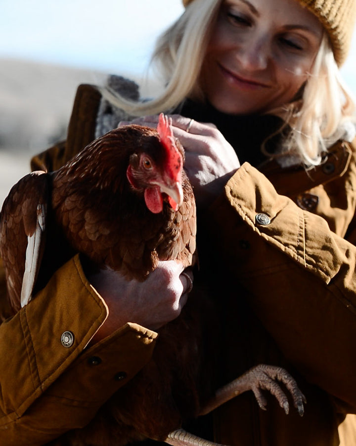 one dozen farm fresh, free range eggs