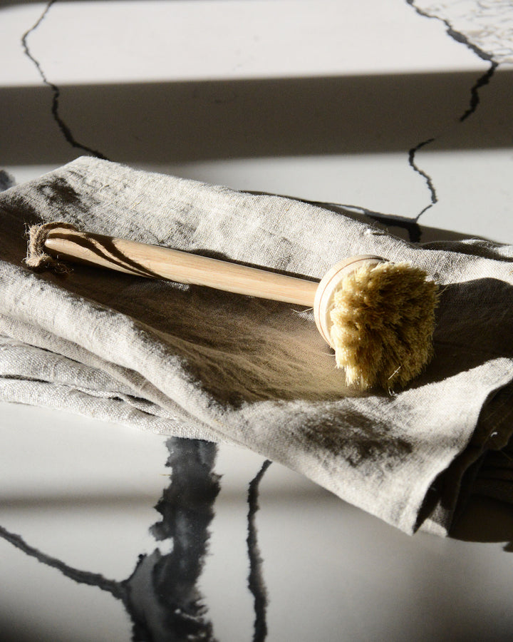 Bamboo Long Handle Dish Brush