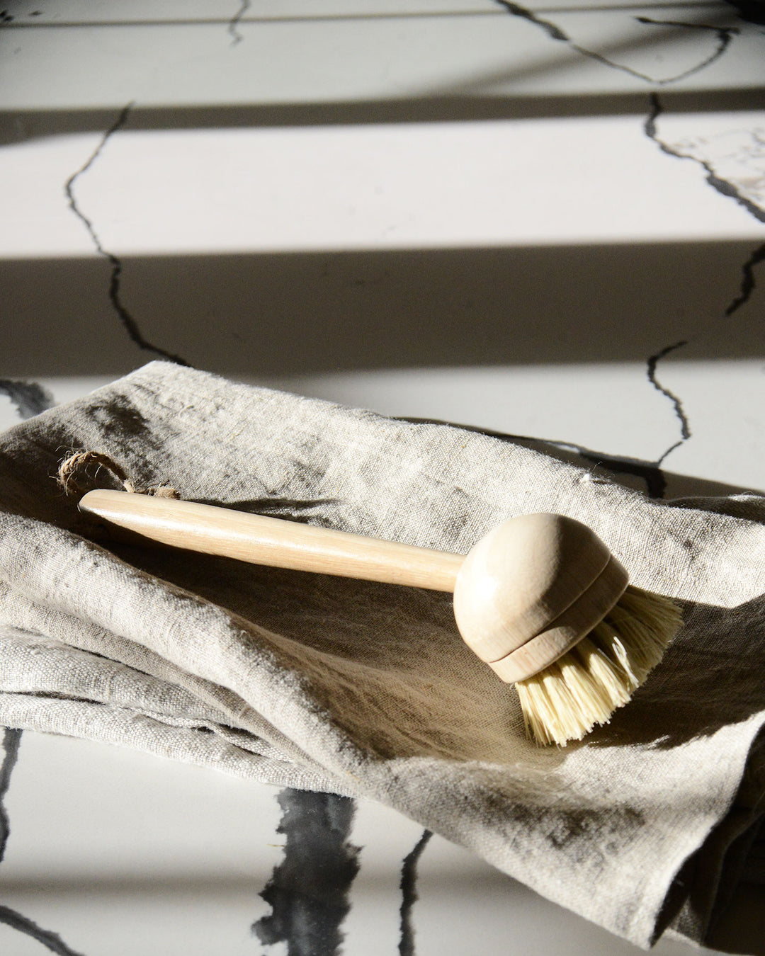 Bamboo Long Handle Dish Brush