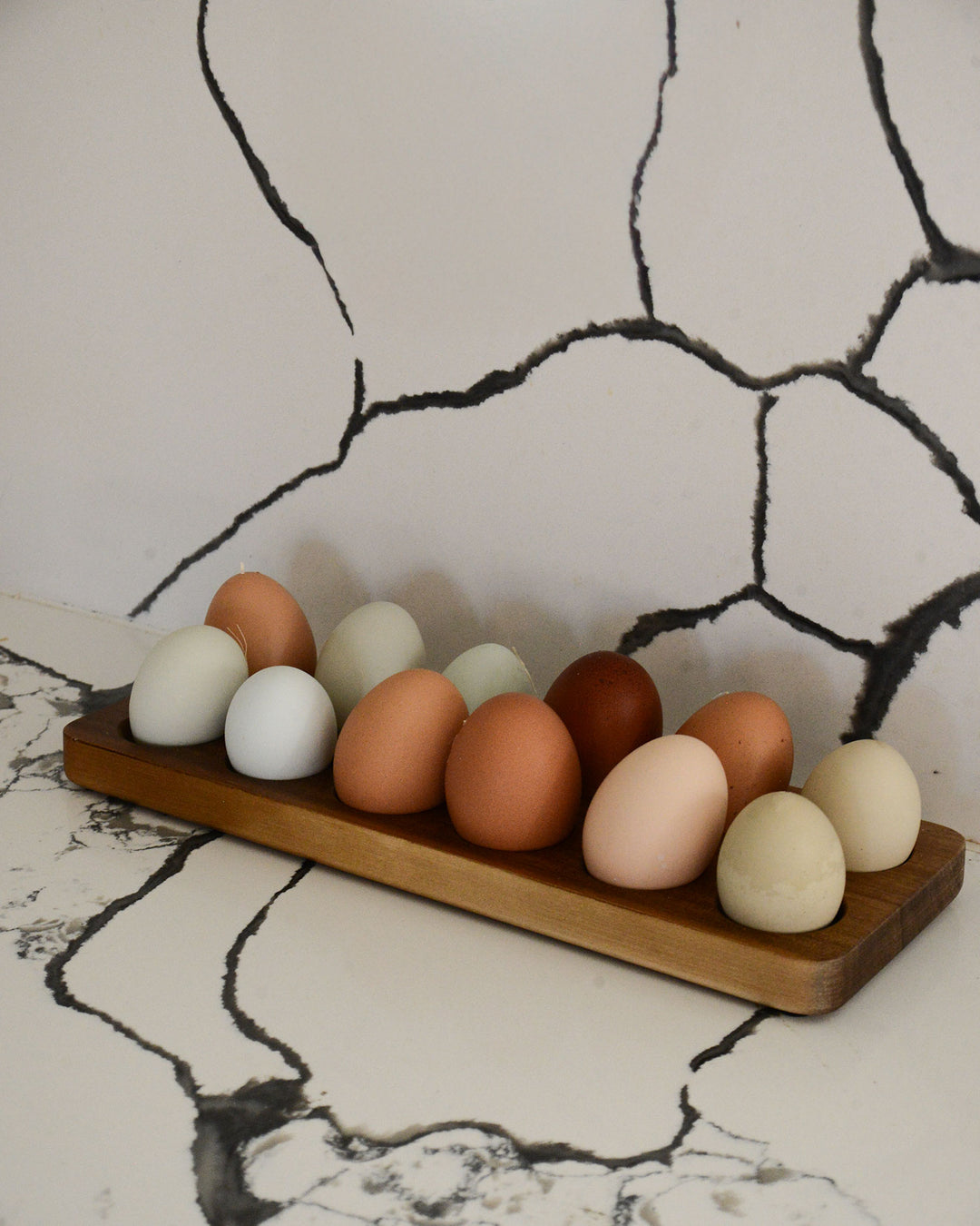 Egg Holder