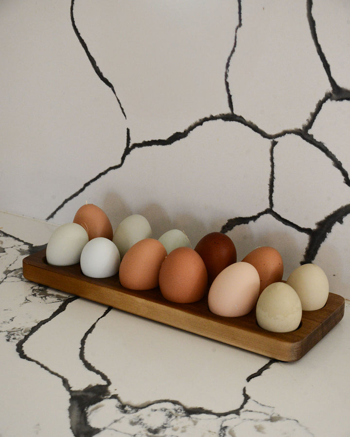 Egg Holder