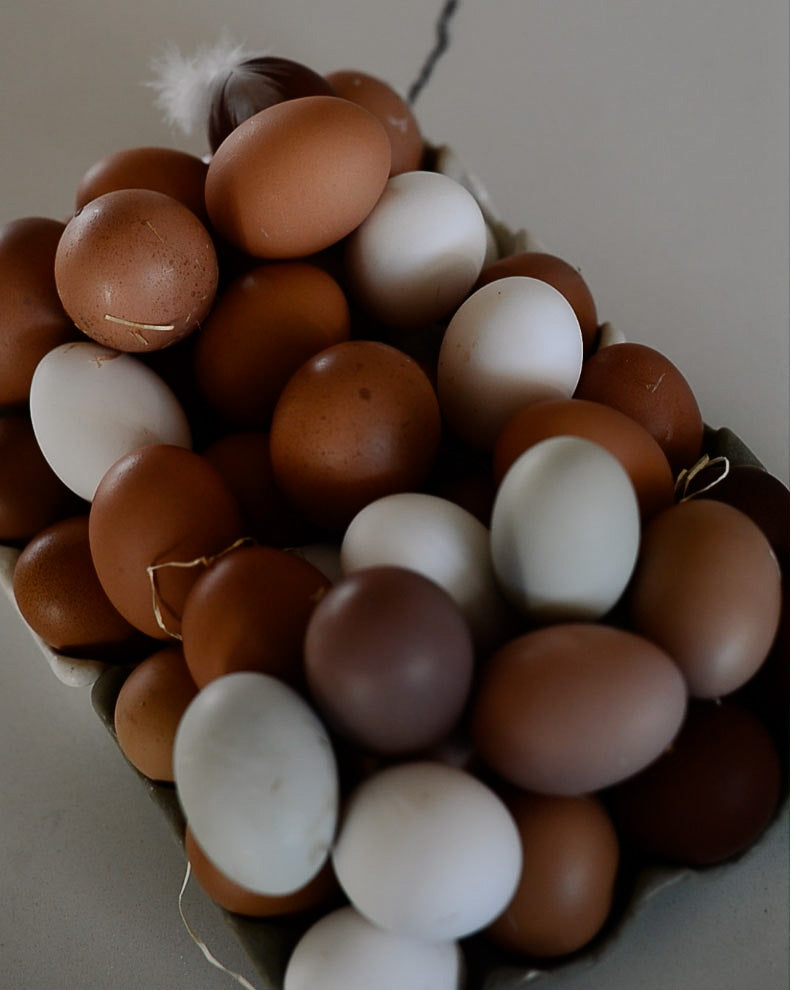 one dozen farm fresh, free range eggs